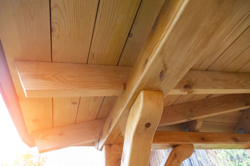 Exterior Trim Carpentry in Conroe, TX